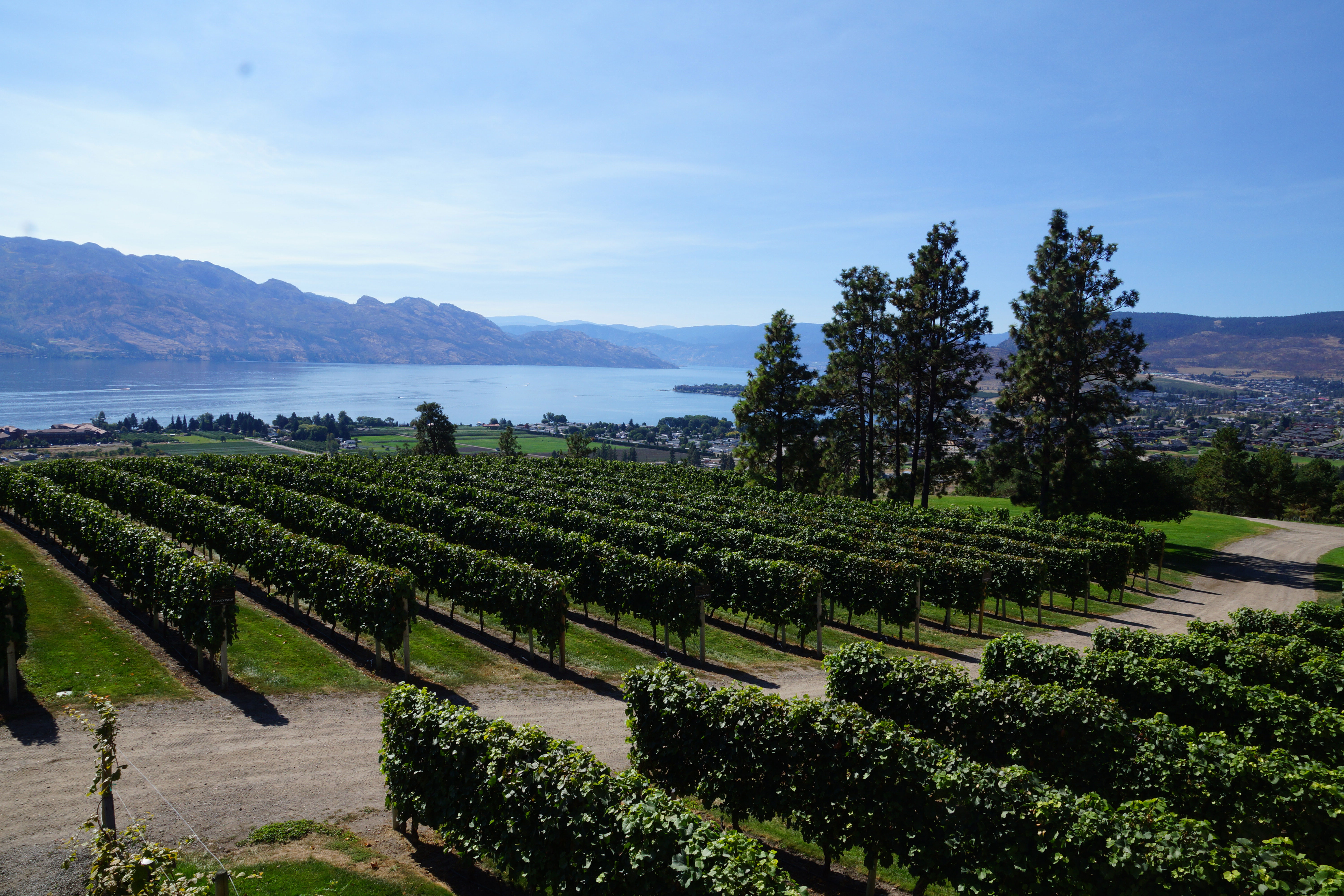 Winery tours are a fun pastime in the Okanagan Valley for both locals and visitors alike!
